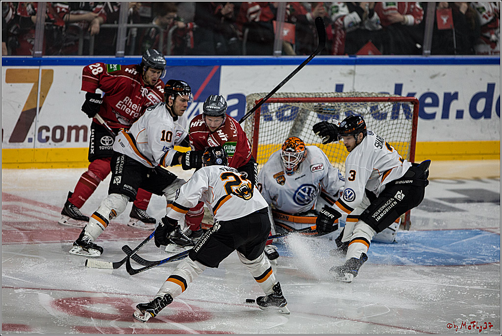 DEL, Koelner Haie - Grizzlys Wolfsburg, 07.03.2017
